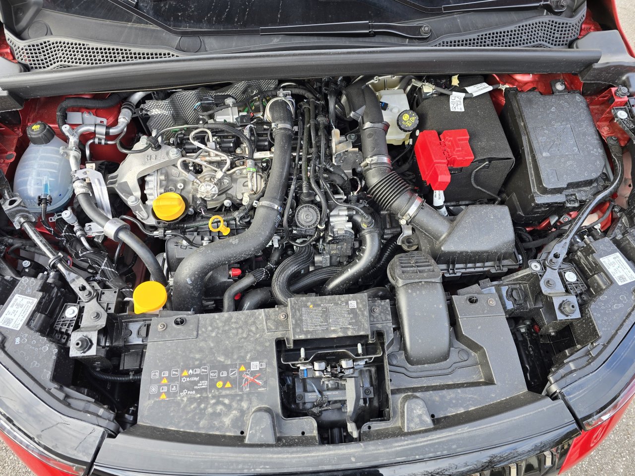 Reinkarnacija v objemu francoske tehnike